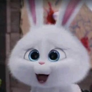 兔🐇视界