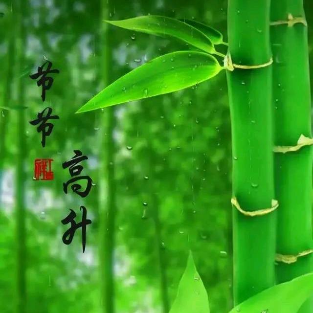 🐷诸事顺🐷