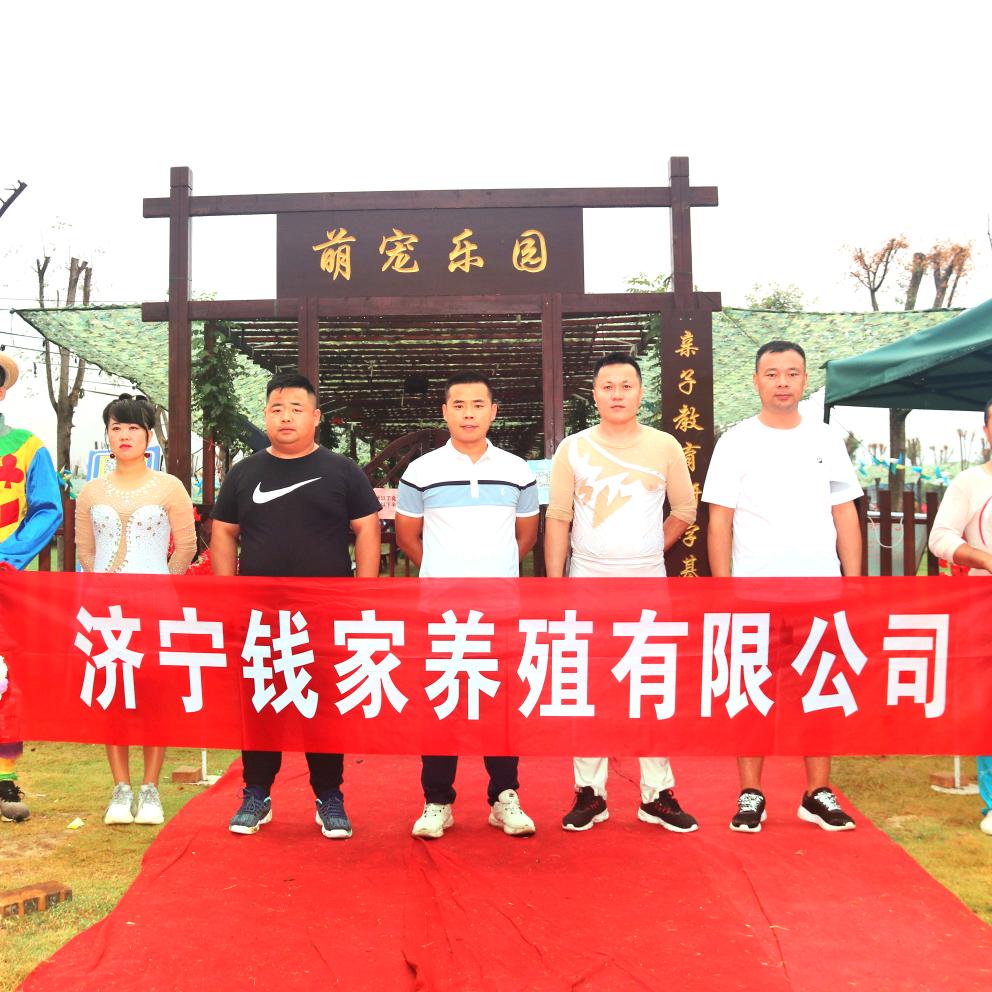 萌宠供应 动物租赁 乐园设计 托管运营