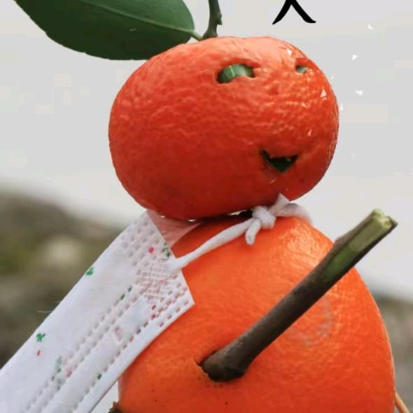🍒花千语