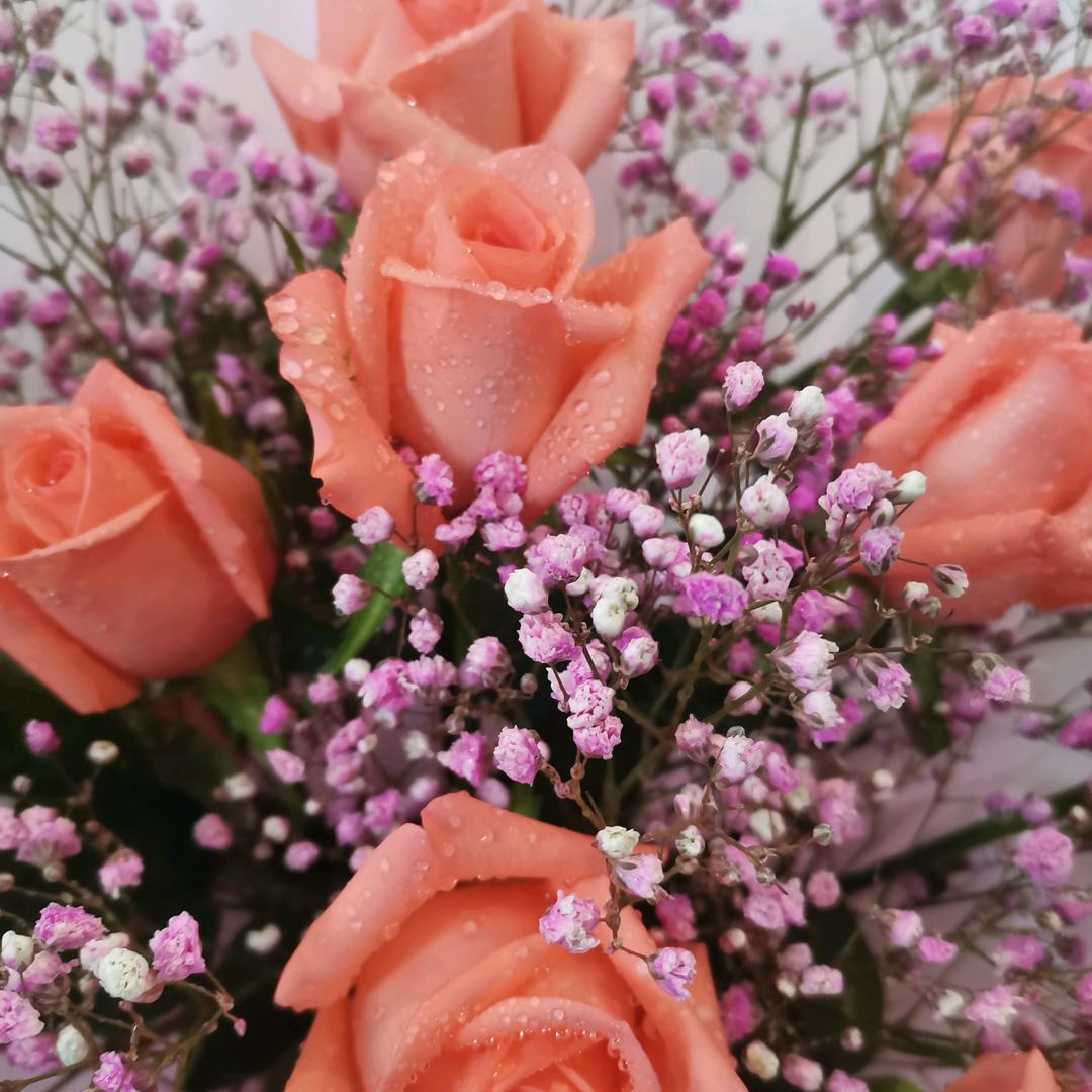 余🌹生🍎幸🌸福🌺