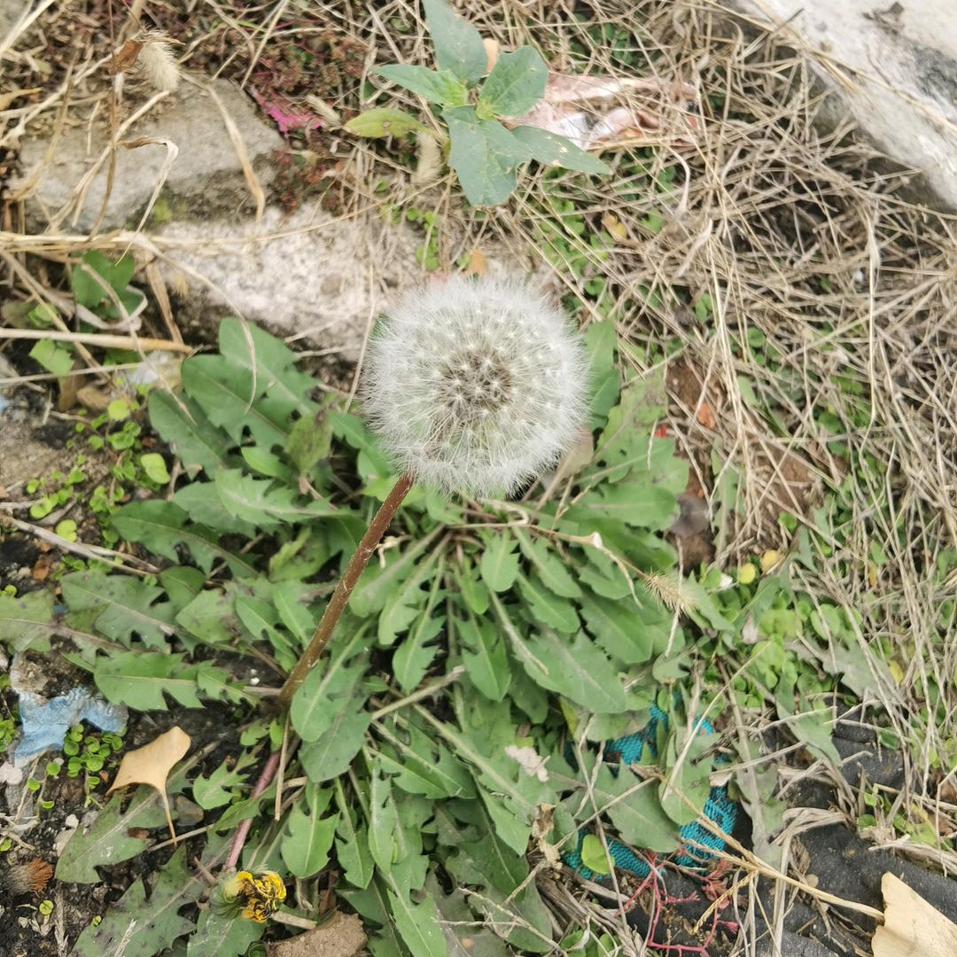 取了一个不好取的名字