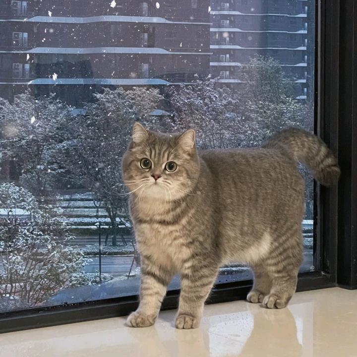 爱如初恋•养生藏药