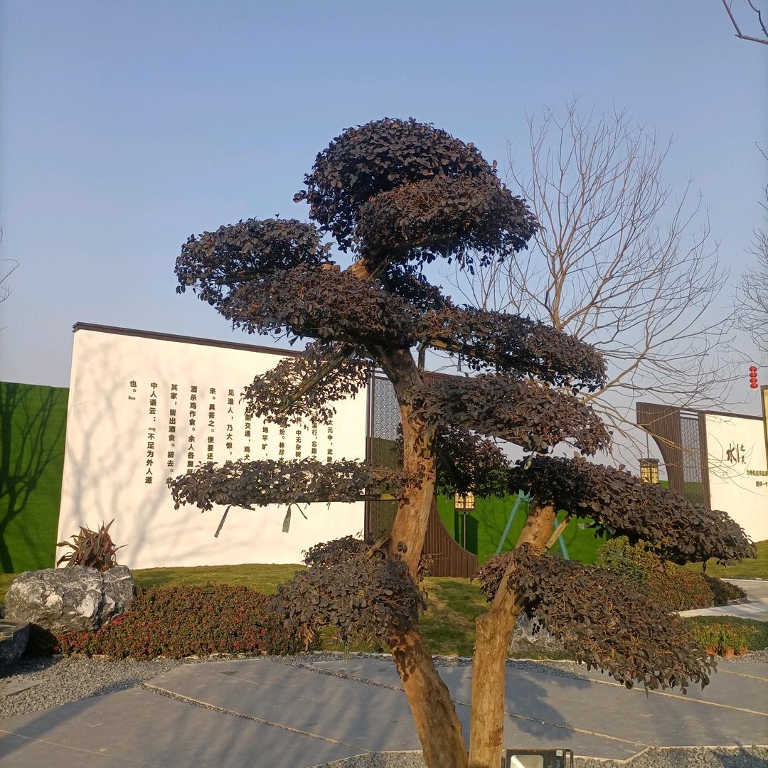 谁笑到最后
