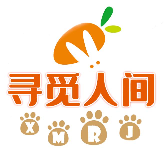 寻觅人间