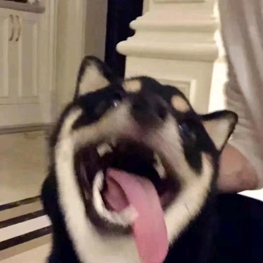 Qx.y