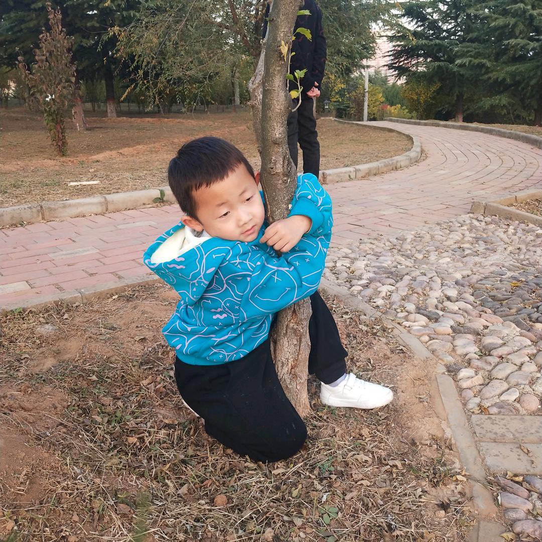 青柠时光