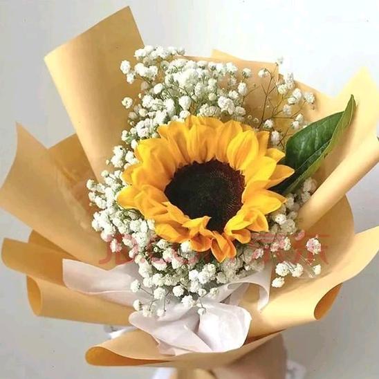 花花小胖头像