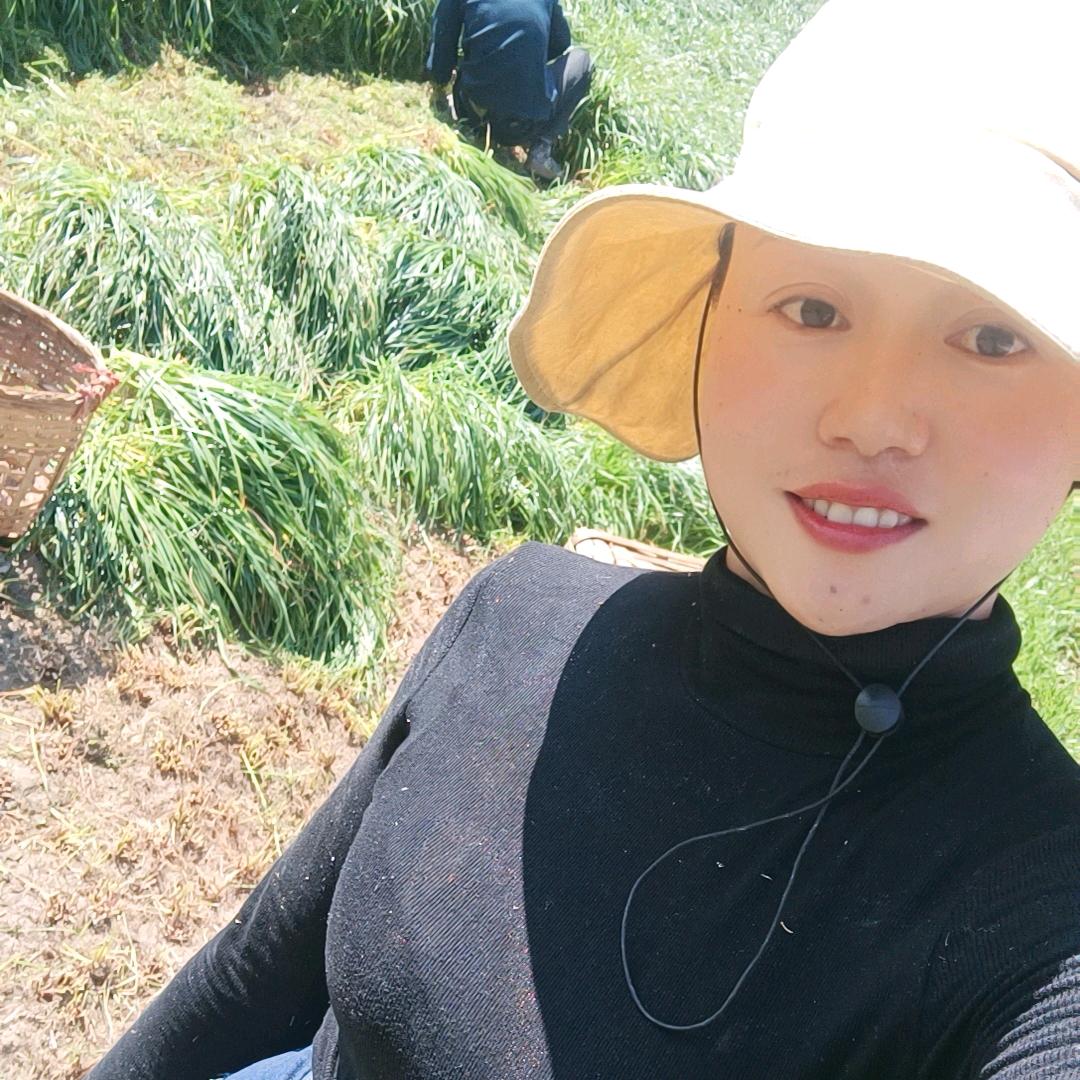 八方牛客大田坝