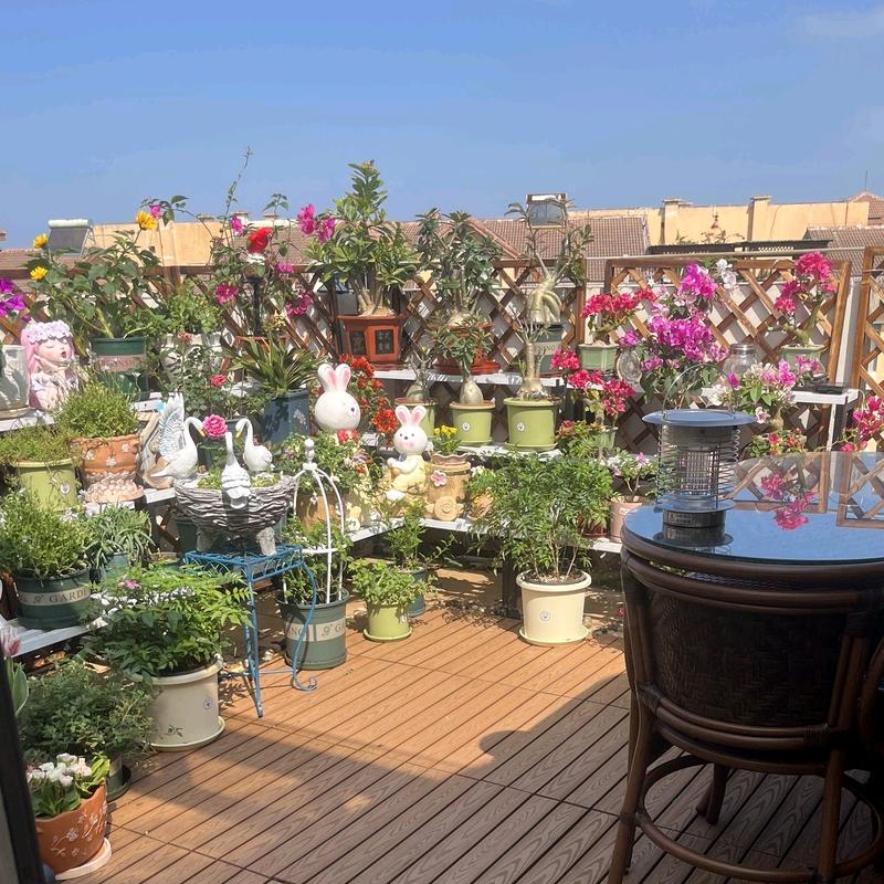 小清新户外园艺