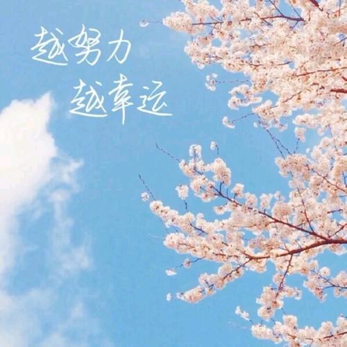 阳光
