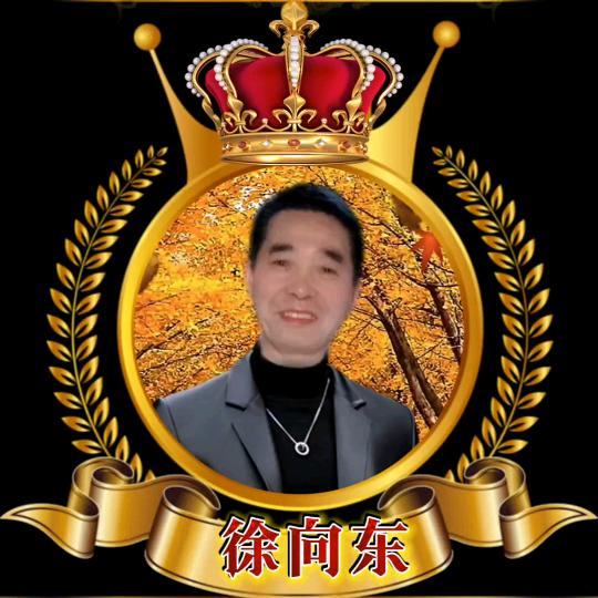 有趣的乐
