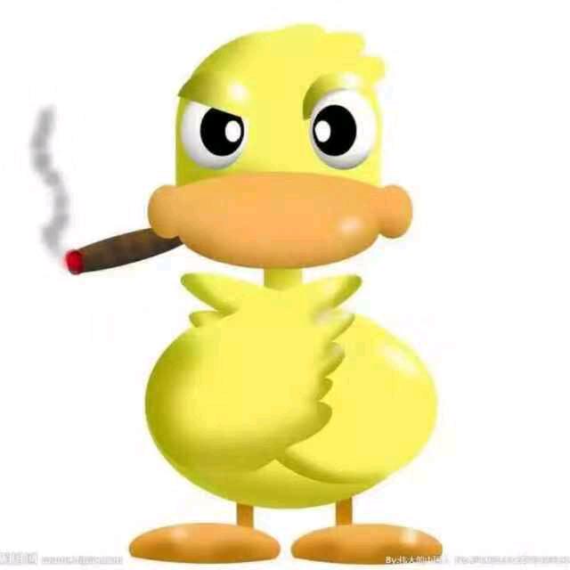 幸福养鸭（专注肉鸭）