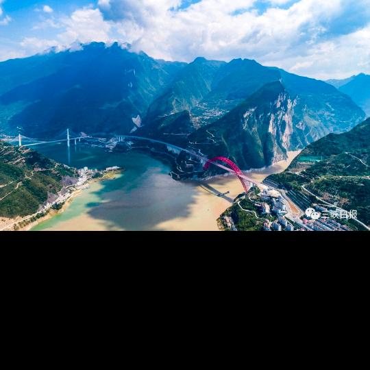 杨柳依依