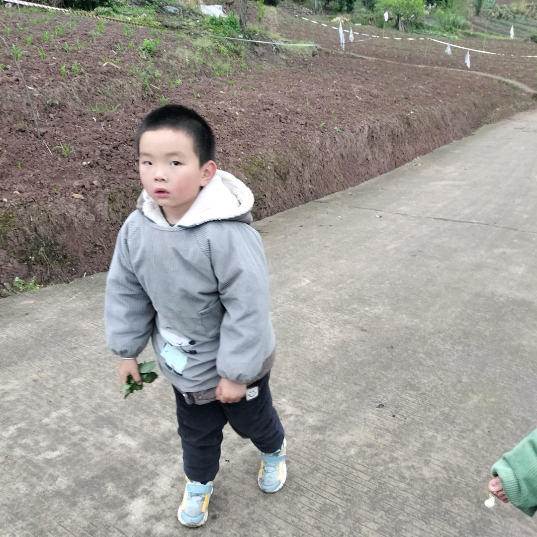 陈陈