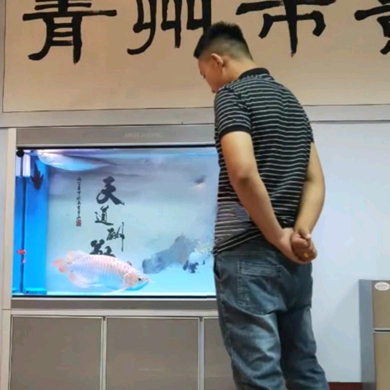 溪鱼徐💎