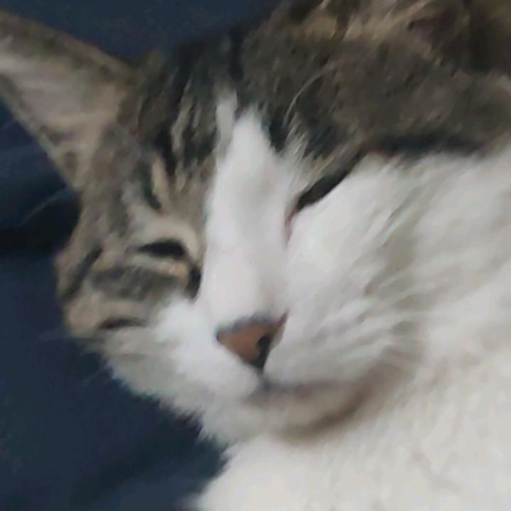 古月方源