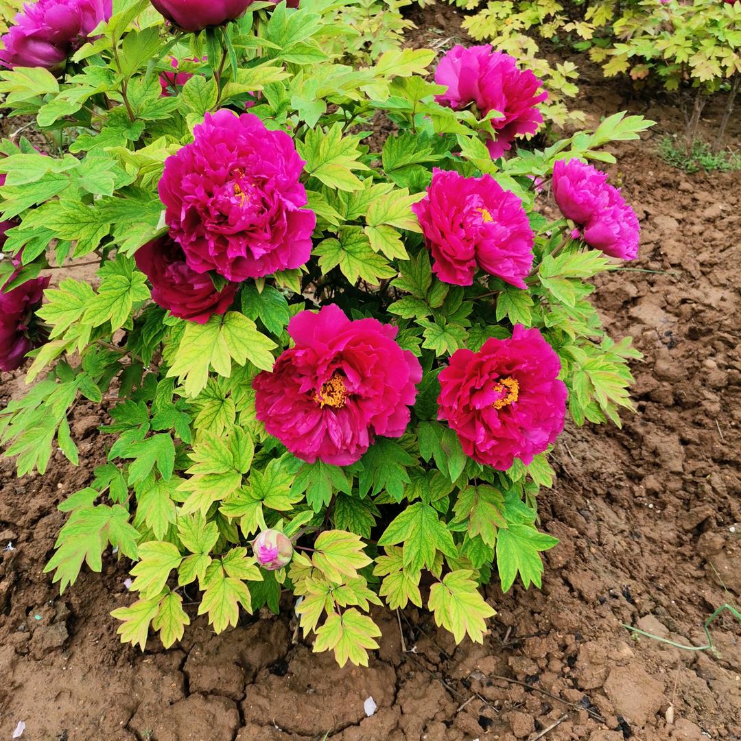 幵I心快乐每一天