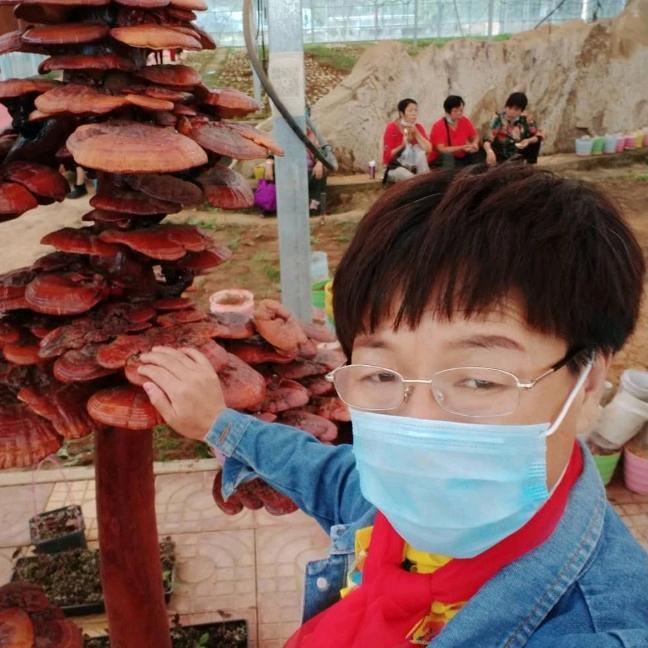 泰脊堂燕子正义发声，