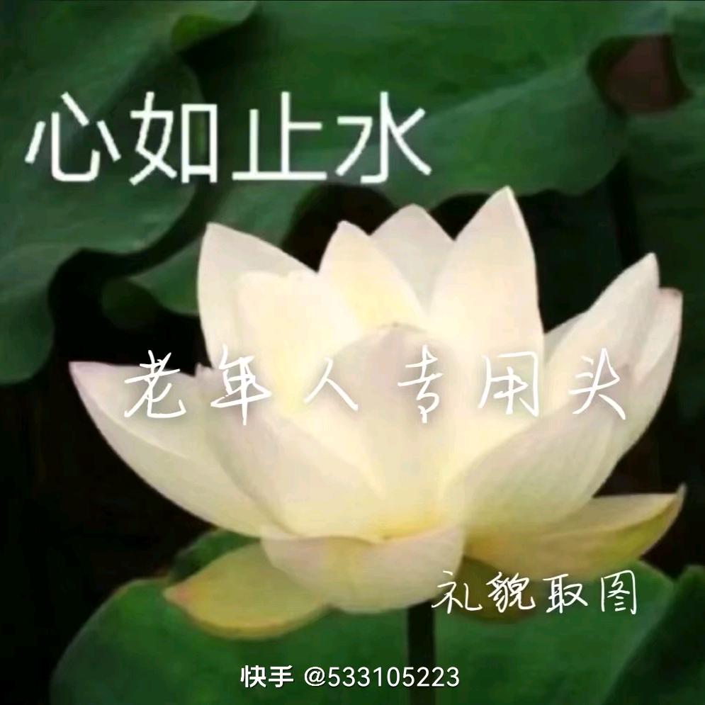家有儿女