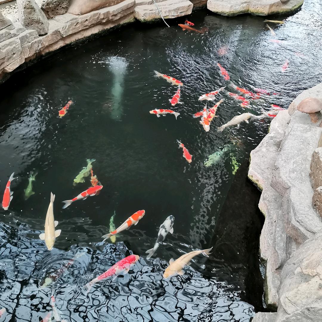 金刚石