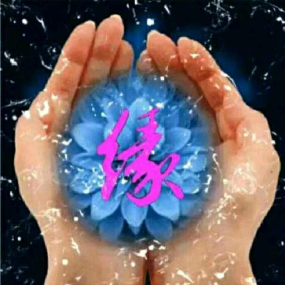 新秀吉舞