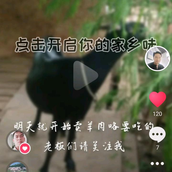 南沙黑山羊及羊肉销售