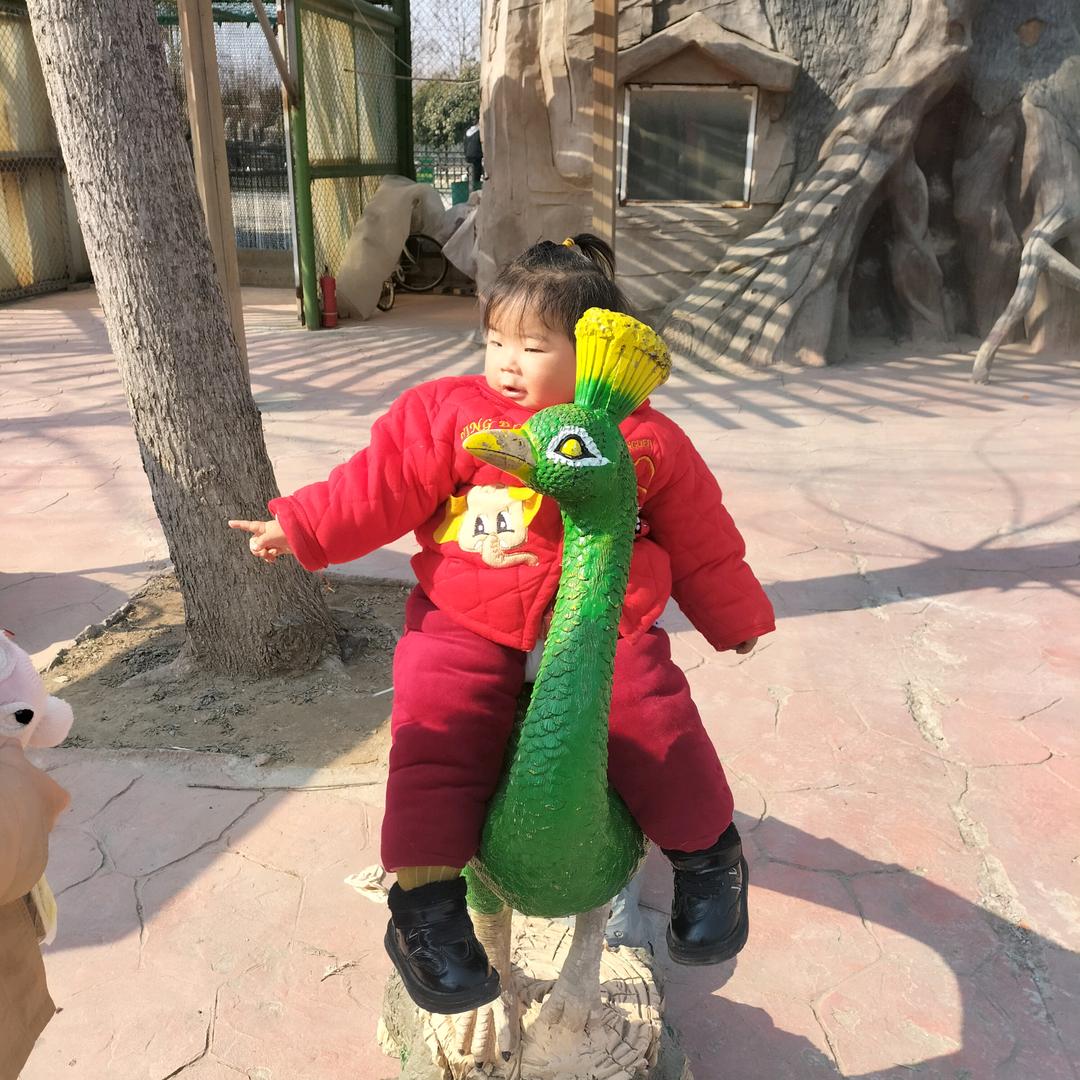 闭晓之光