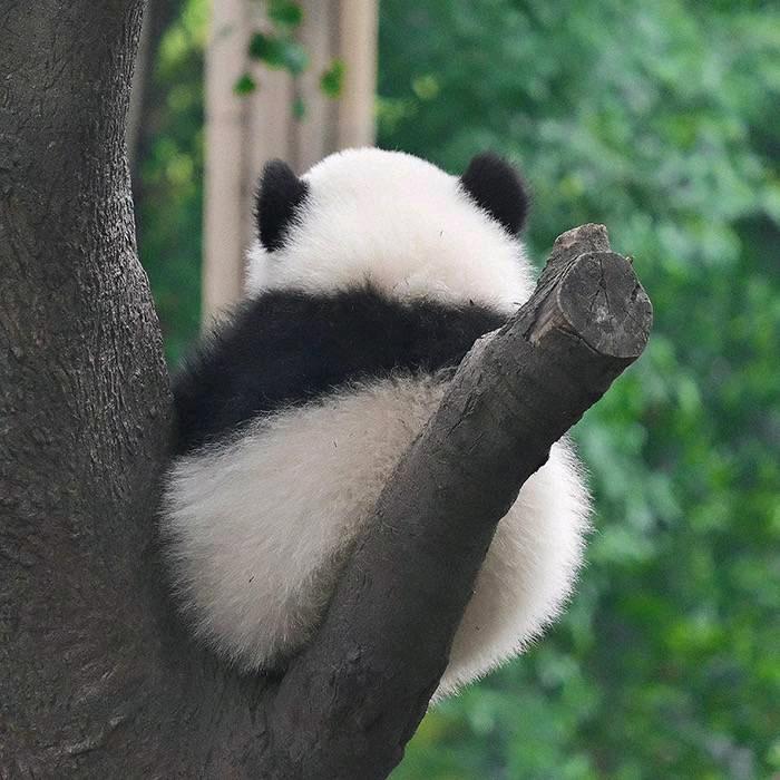 小赵拽瞌睡
