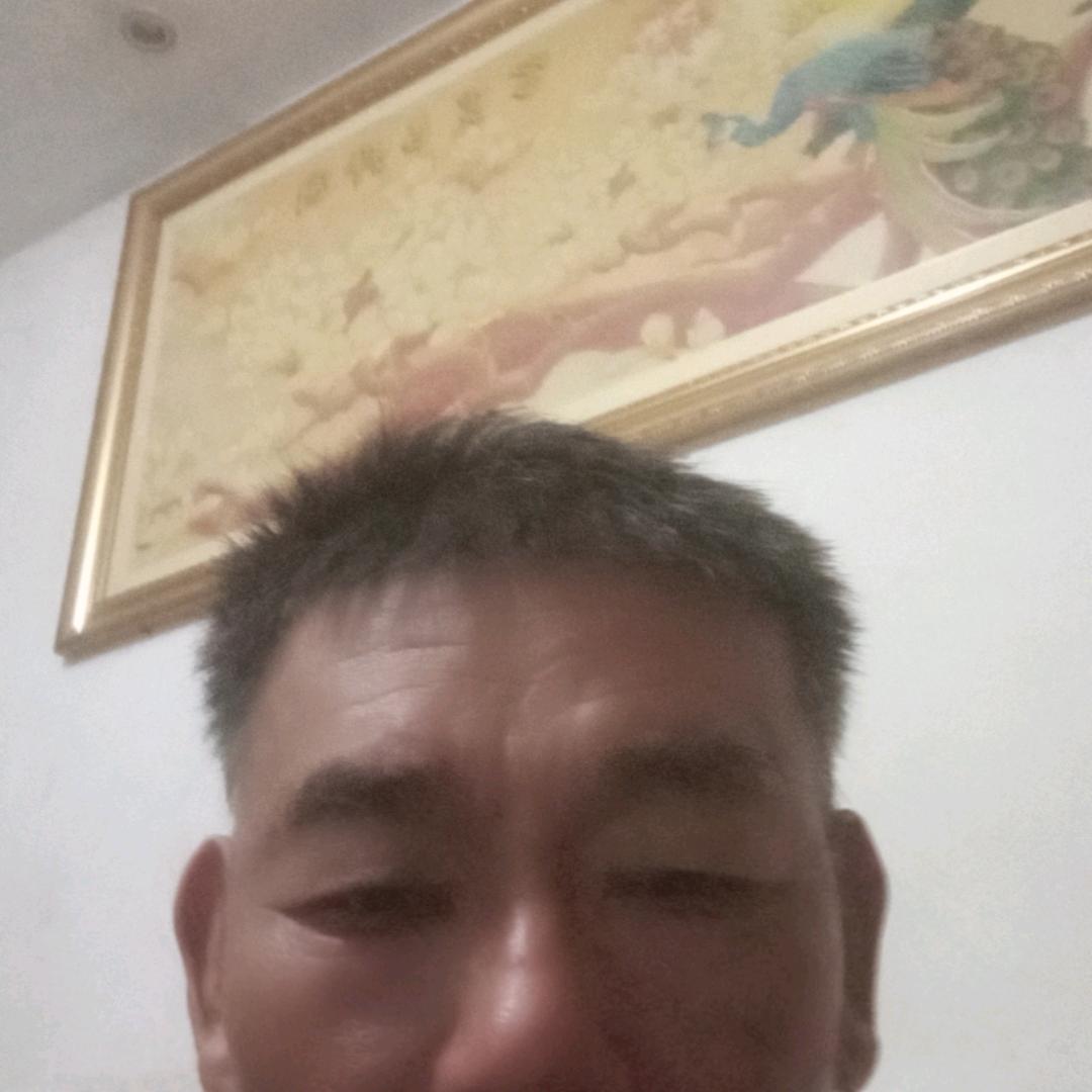 木生