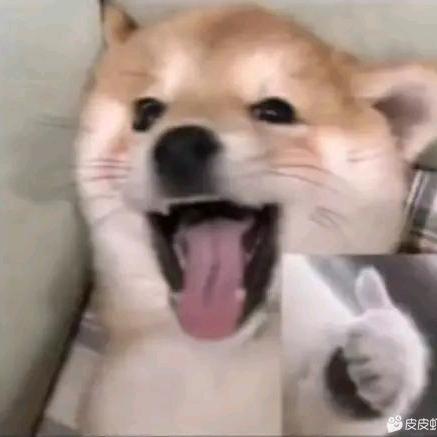 你的等待并不是一文不值