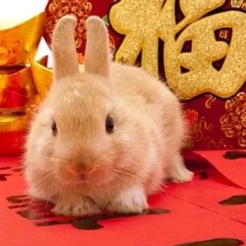 纳福文化（橱窗好物）