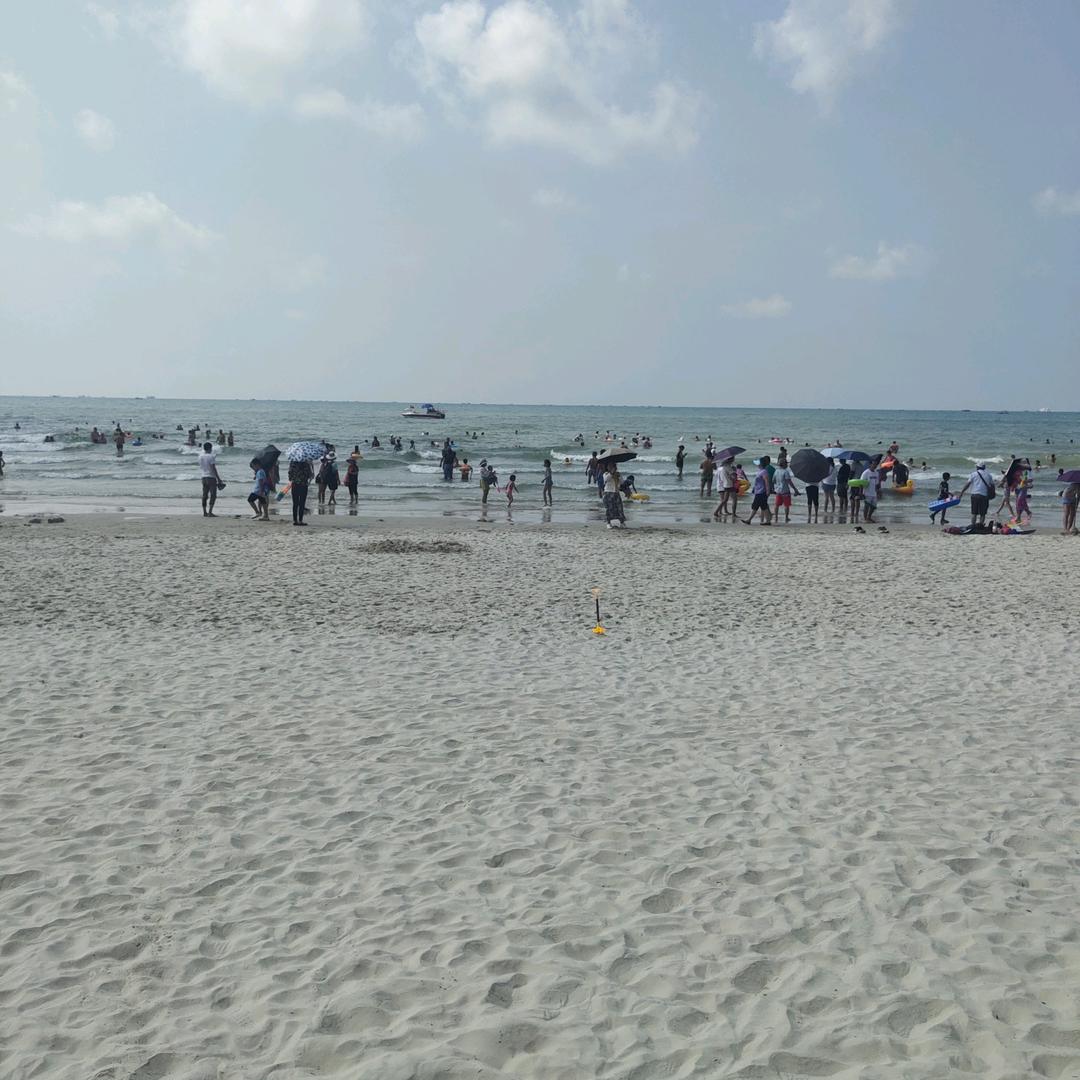 (🌾6🌿8🍀1🌱)