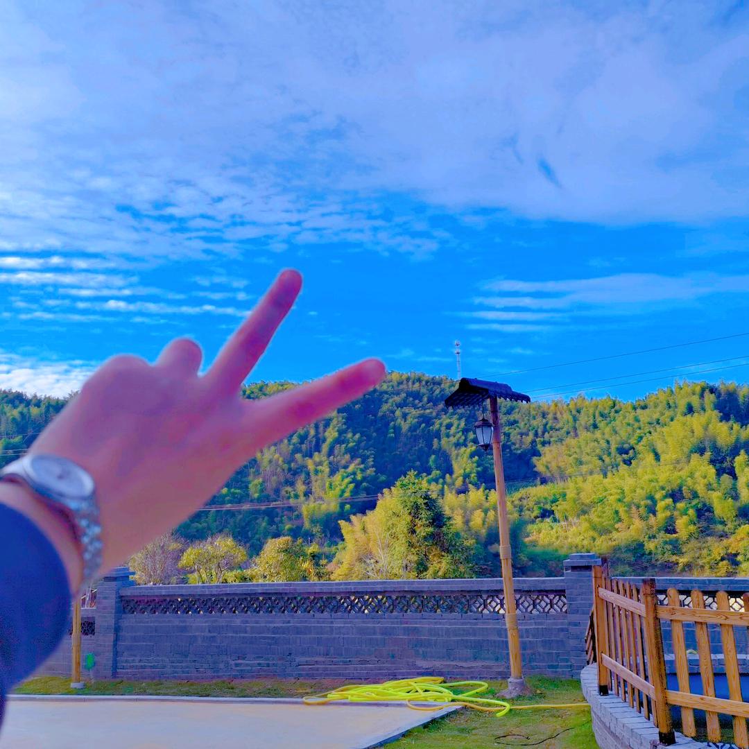 黑麋峰云上山居/青山民宿