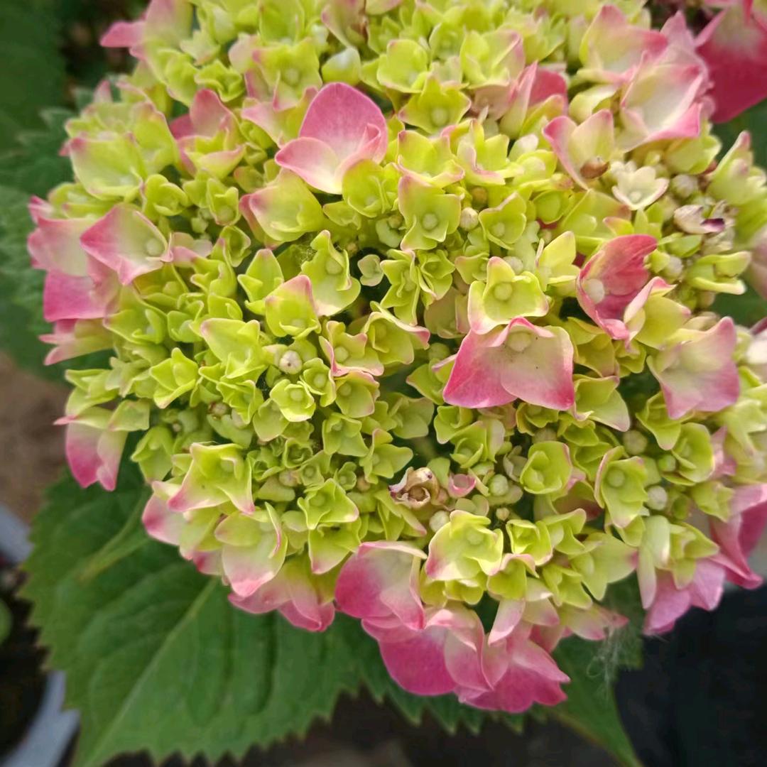 用户8611043743782
