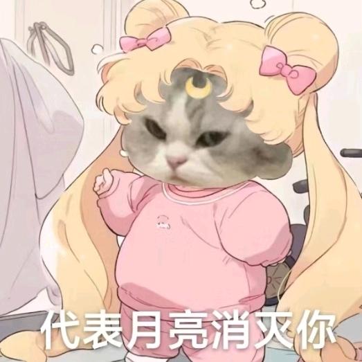 Halo •᷄ࡇ•᷅