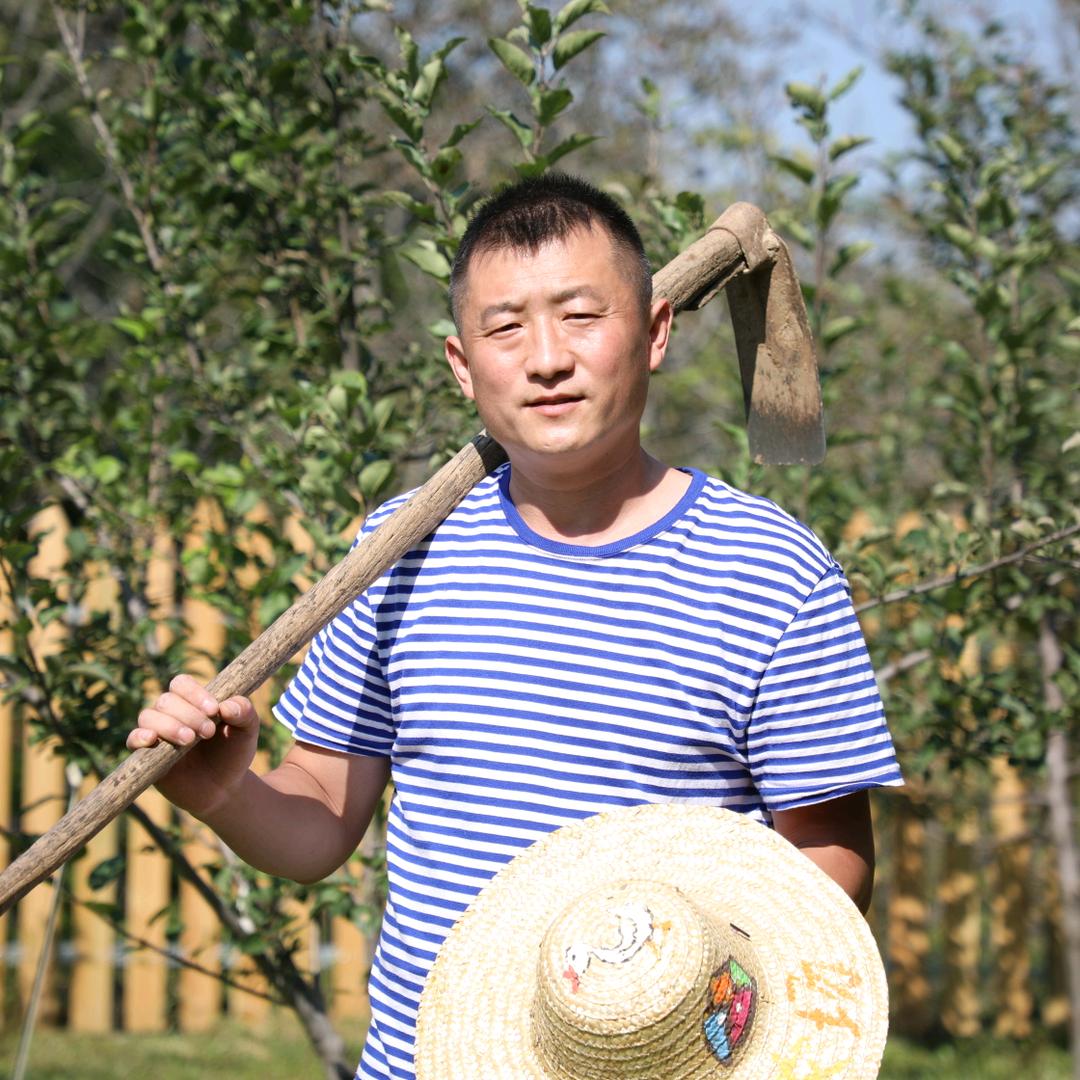 农场主田叔叔