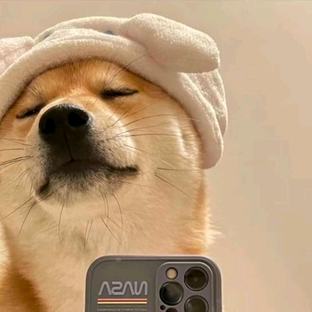为了梦想