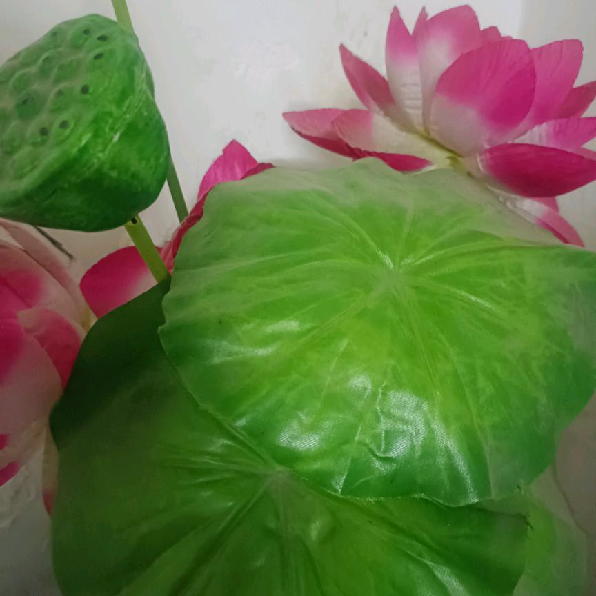 人人平安，健康