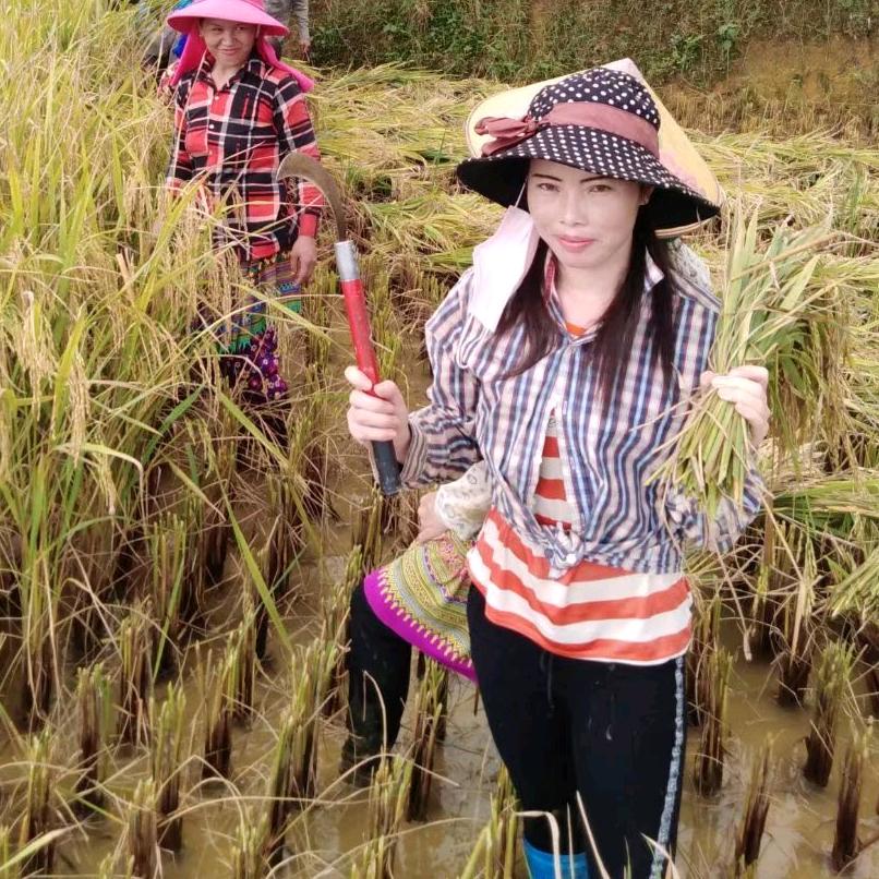 越南小雅中国媳妇