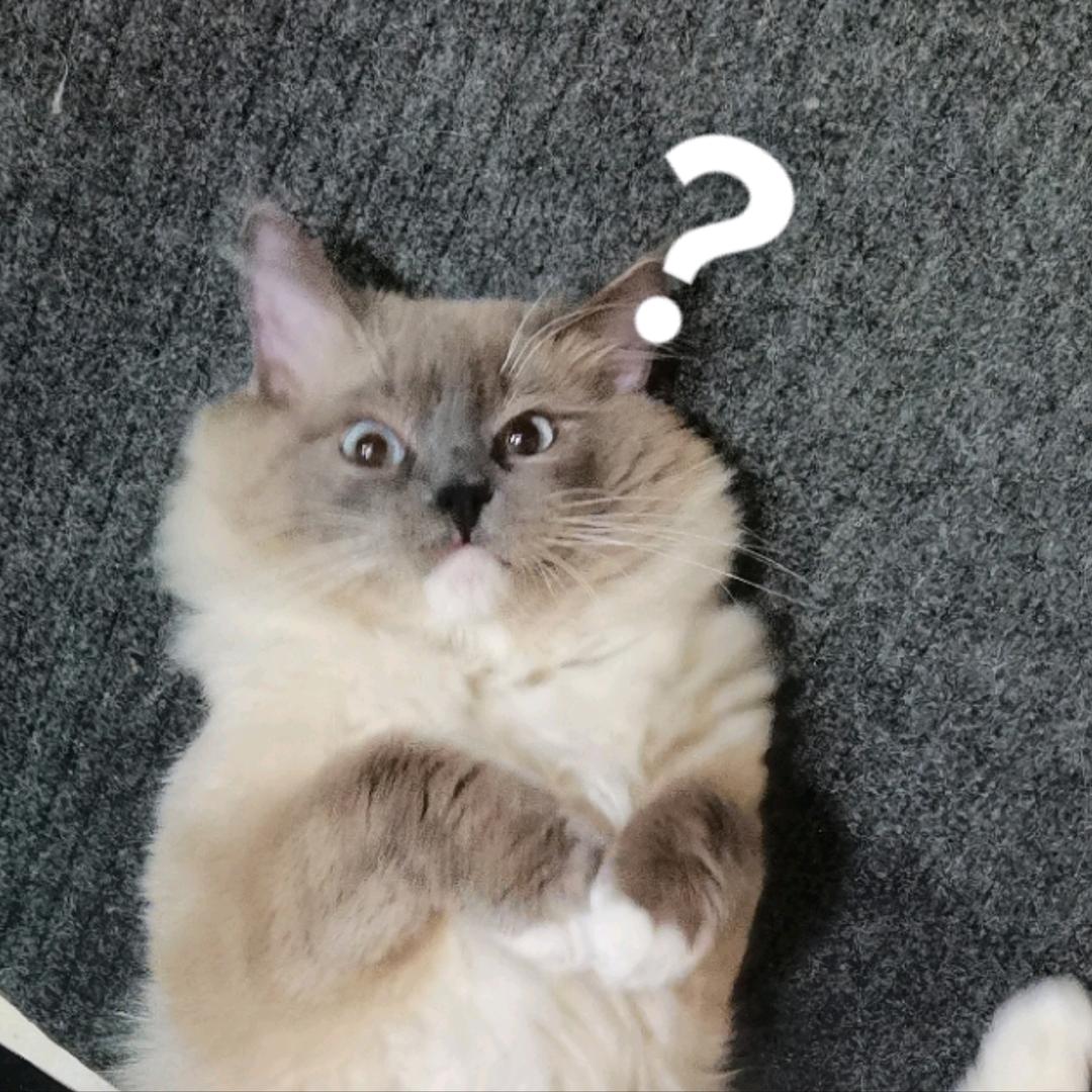 川烏