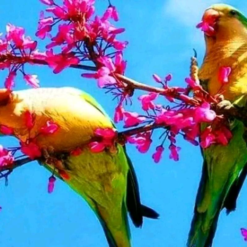 开心就好🌹🌹