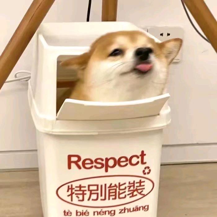 猩之鋼