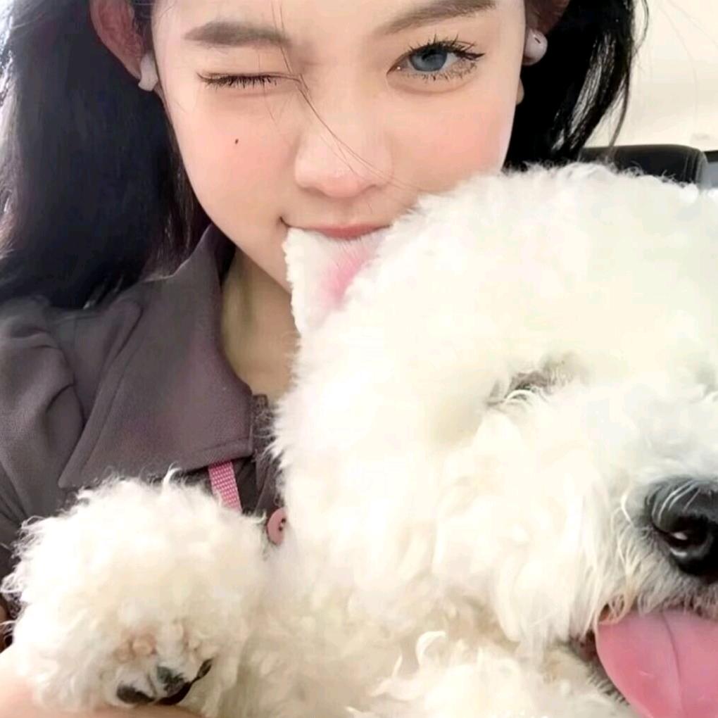 迷失的兔子牙
