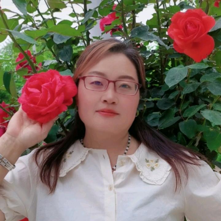 （小二姐）（橱窗好物）