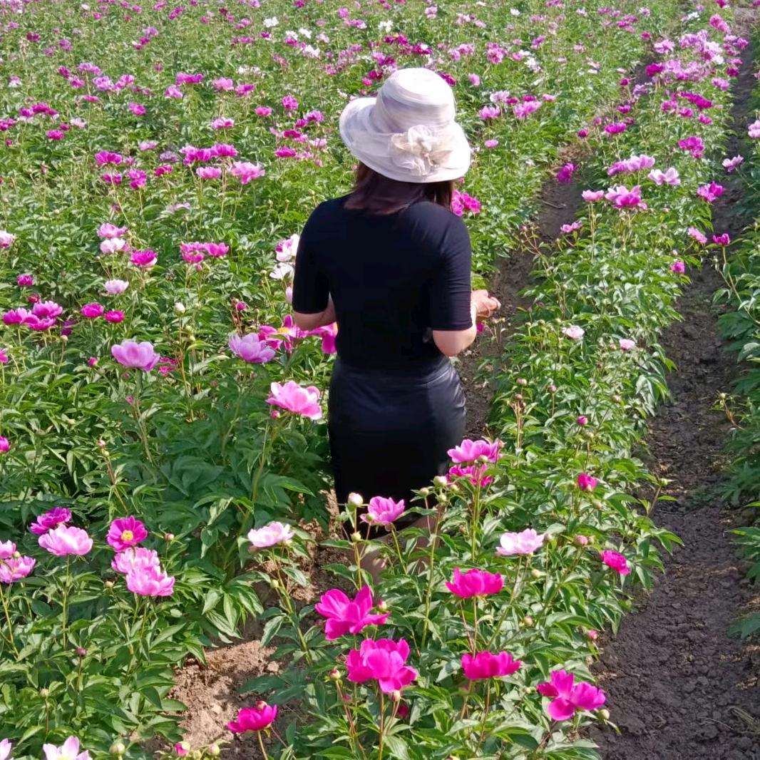 小( ˘•㉨•˘ )