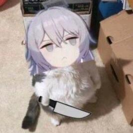 蜜子酱