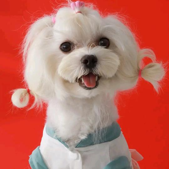 💗᭄余生ᝰᩚ随心ꦿ໌ᮨ: 💞