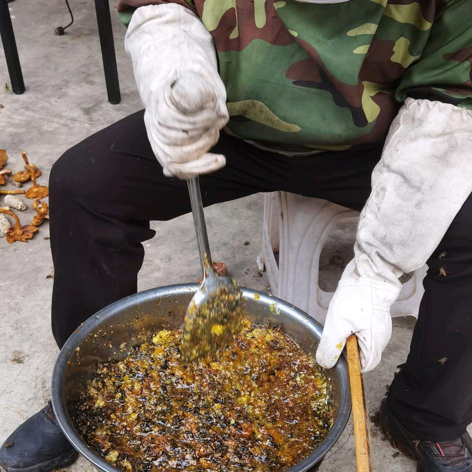 善言结善缘