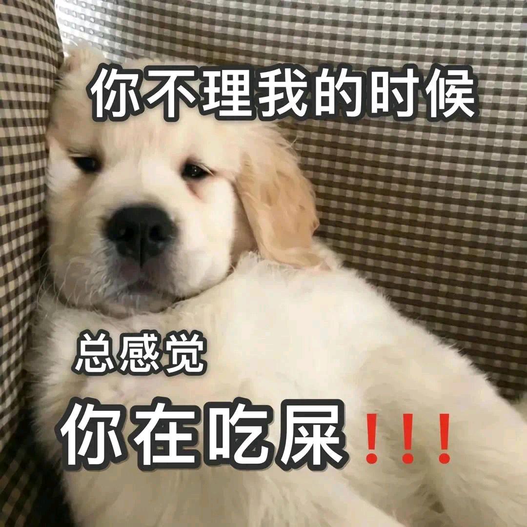 别叫狗子。